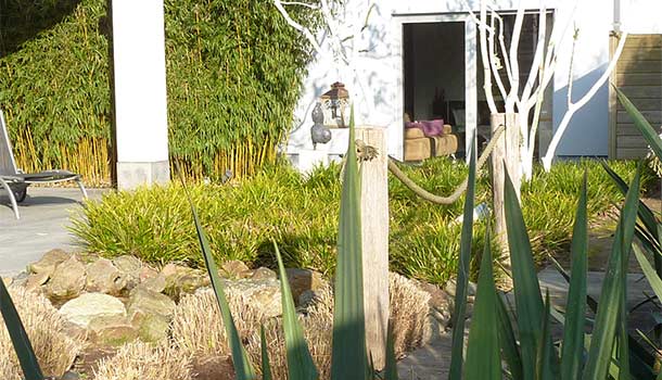 Achtertuin met bamboes en siergrassen